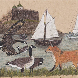 Лисы в Выборге.