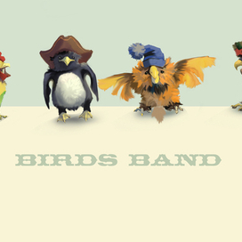 BIRDS band 