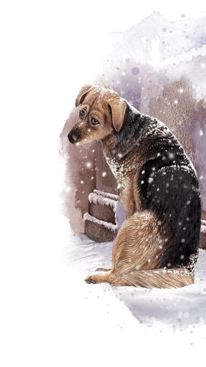 Шарик (встреча с профессором)