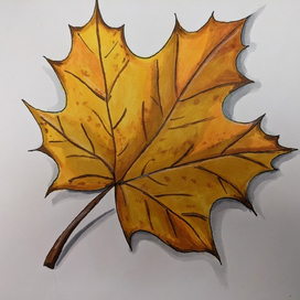 Кленовый лист 