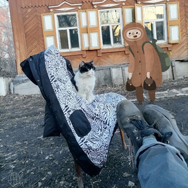 Я пойду с тобой