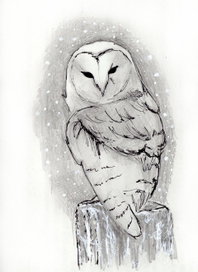 Зимняя сова