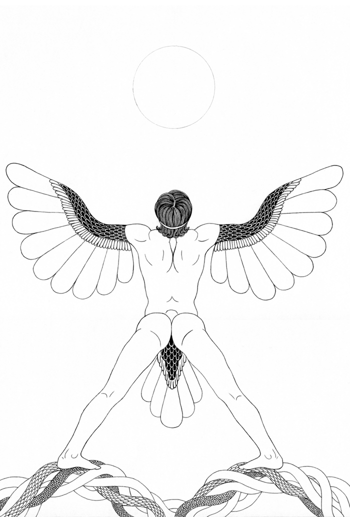 Человек-птица смотрит на солнце