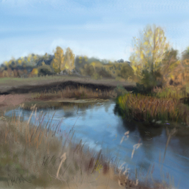 Река Салмыш.