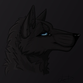 05231004143045_342015