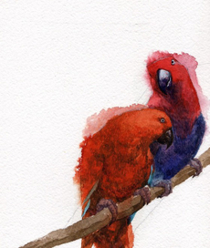 Благородные