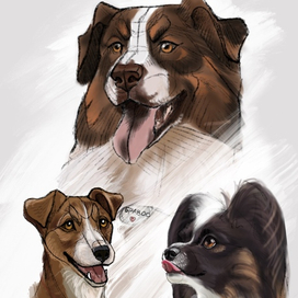 Аватарка для паблика