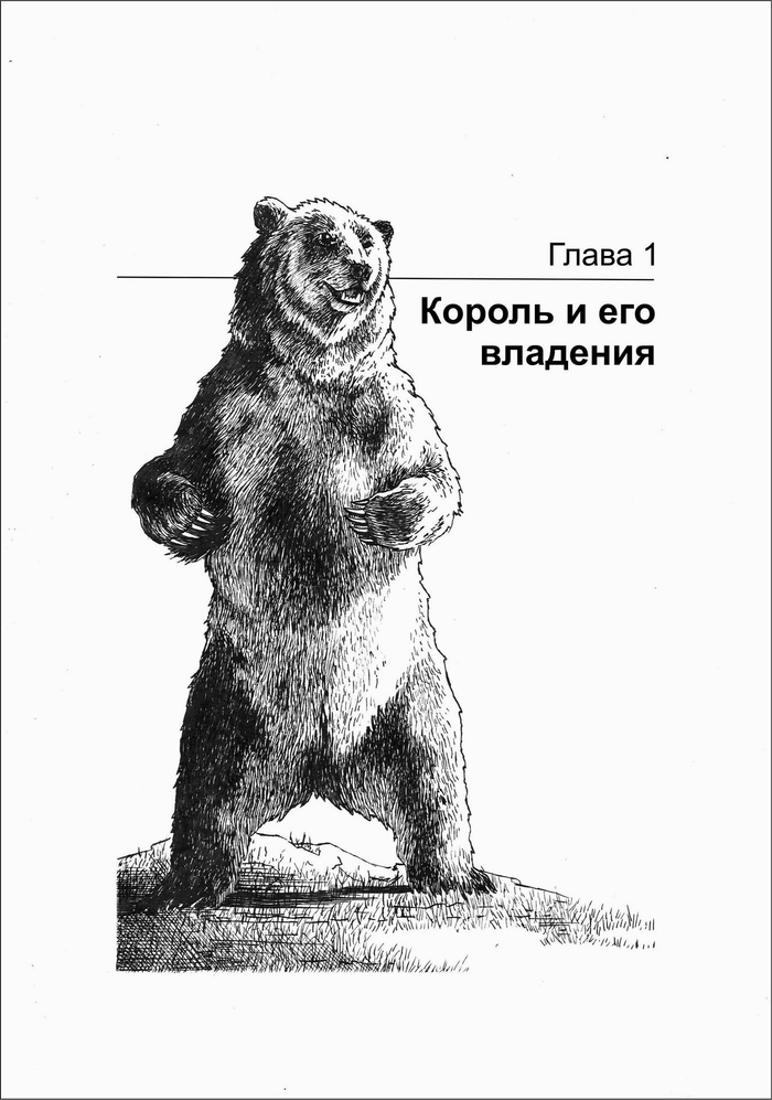 ГРИЗЛИ. Король и его владения
