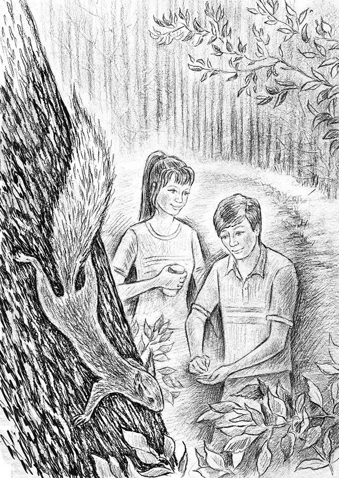 Пойдём кормить белок..