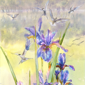 Ирисомания какая-то)