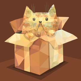 Кот в коробке