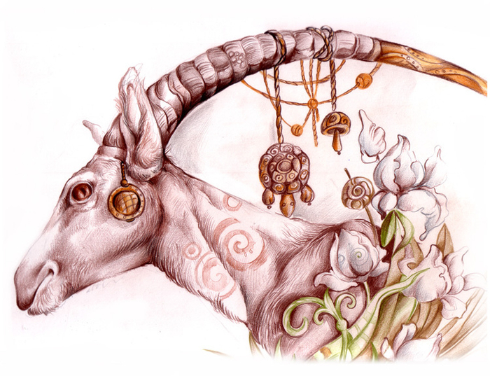 Весенняя антилопа