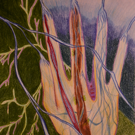 Мир сквозь руку