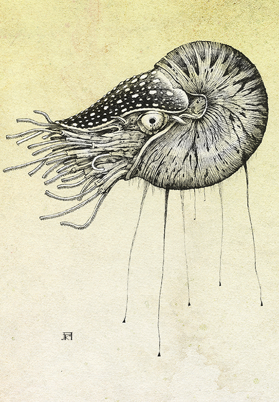 Nautilus