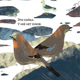 Иллюстрация в книгу "Зубы? Зубы... Зубы!"