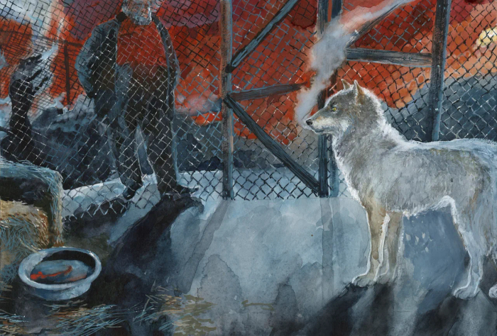 Сэжет №3. "Абрек. Повесть о настоящем волке"