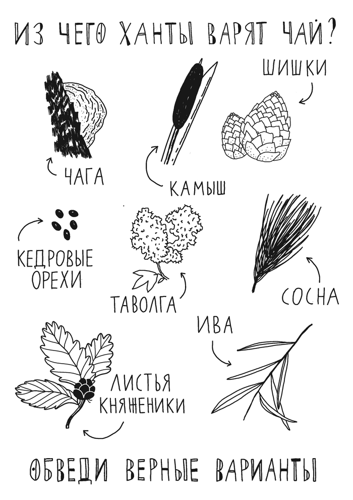 Брошюра для краеведческого музея в ХМАО