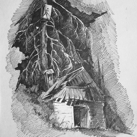 В глубине леса