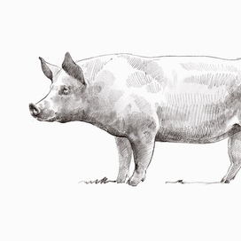 В меню сегодня