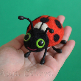 Божья  коровушка