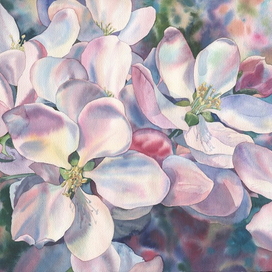 "Цветущая яблоня"