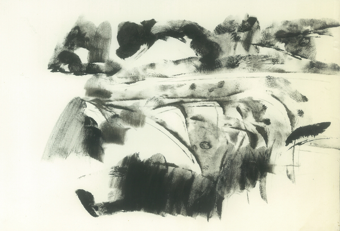 пейзаж с оврагами