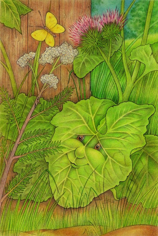 Привет,сосед!