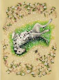 Настроение (Далматин. Весна)