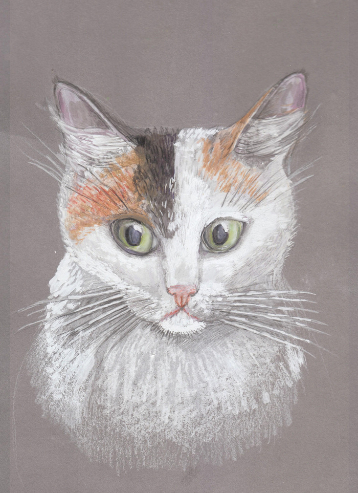 белая кошка