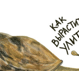 И правда, как?