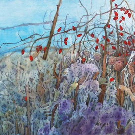 Травы и шиповник