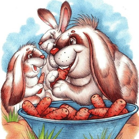 Любимая морковь