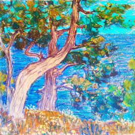 Можжевельники на побережье 