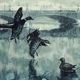 Петербургские утки