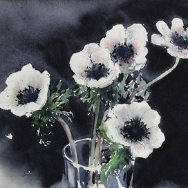 Анемоны на черном