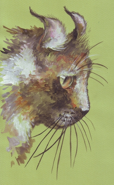 Кошачий портрет (x1)