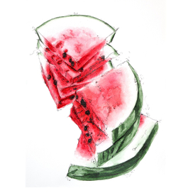 Watermelon slices illustration