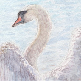Лебедь (Фрагмент) 