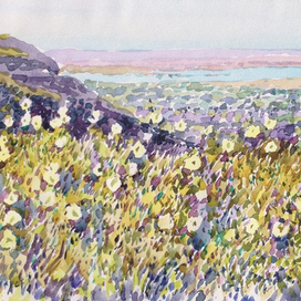 Мальва цветёт. Акташское озеро