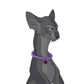 Ориентальная порода, кошка, персонаж в настольную игру.