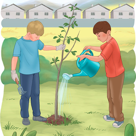 Мальчики сажают дерево