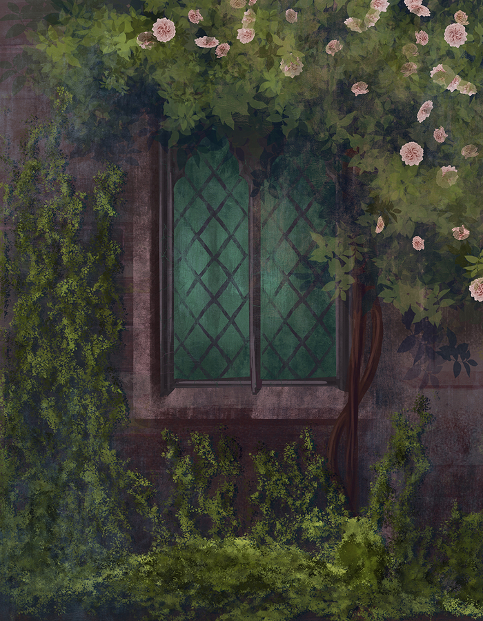 Старое окно в саду