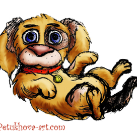 Собака zverki.орг