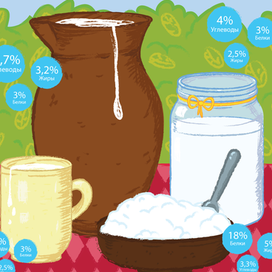 Инфографика «Молоко»