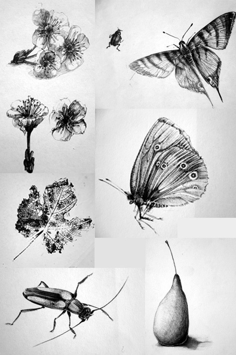 летние зарисовки..