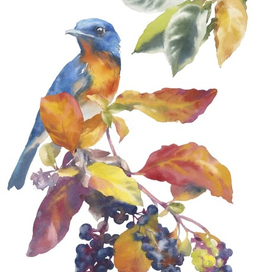 Птица на ветке | иллюстрация 