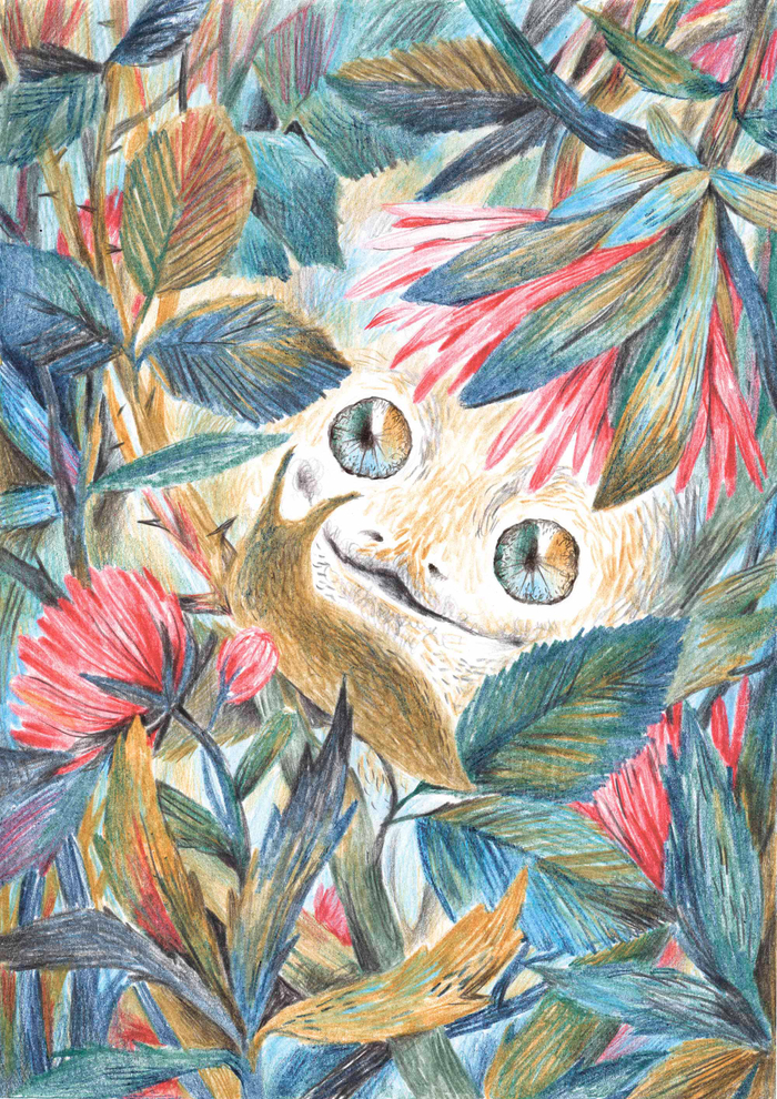 Лучистые глаза. Сказка Б. Заходера "Серая Звездочка".