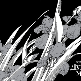 "Душа меча", обложка