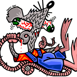 crazy rat