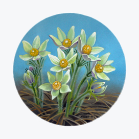 Прострел раскрытый